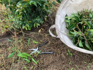 C1A7D597 D9E3 4760 9AC1 19BDD37B822E