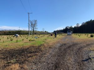 1FA088D9 8355 40B3 B36A 247BD02A8A55