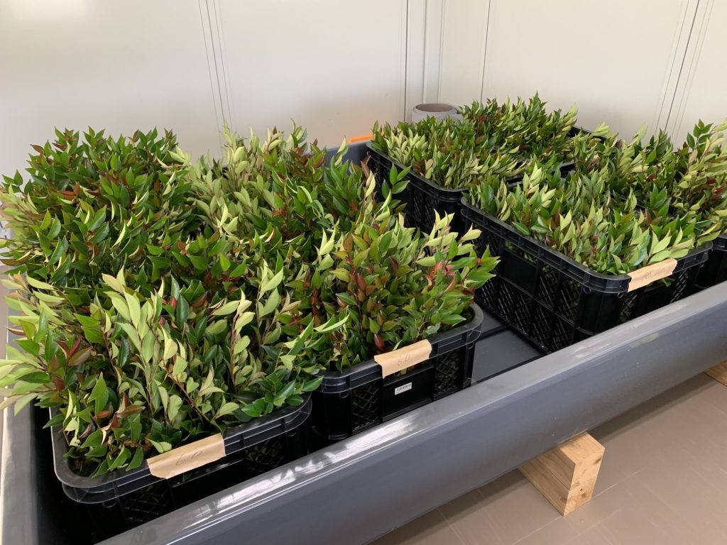 6847EFEE 9CB4 40D1 9A85 82303AB36271