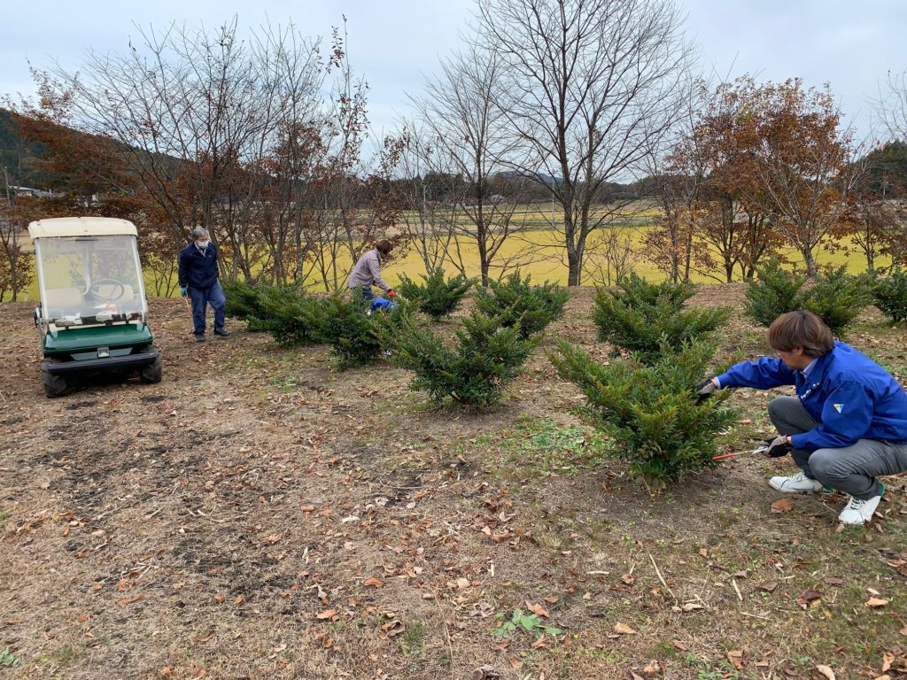 AFEF535C BD05 4F5D 96A5 6BBBD9EBC398