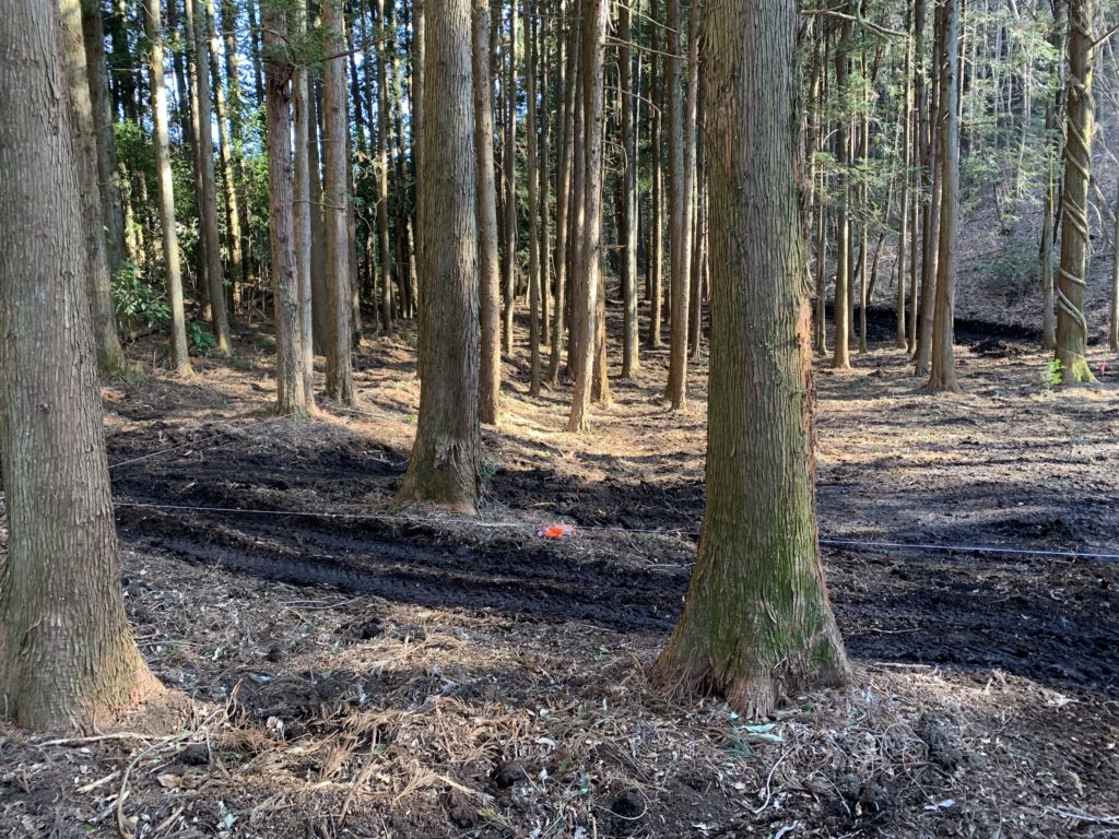 E62F0276 0993 435E 9CAC EAE0ED32D0CD