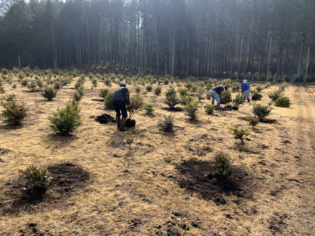 233AB804 14B6 4128 B9B3 FE09EBF5CEE4