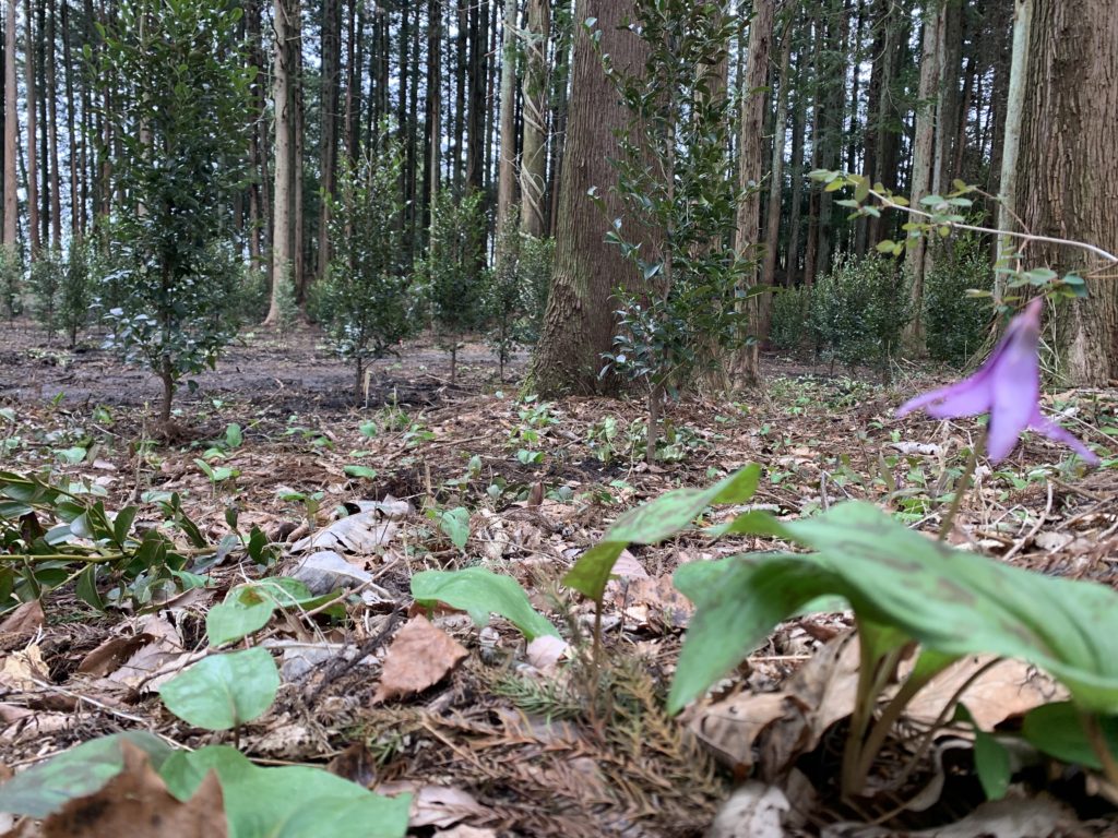 8523BF70 1EFA 455F 8313 BF8512E6D2B4