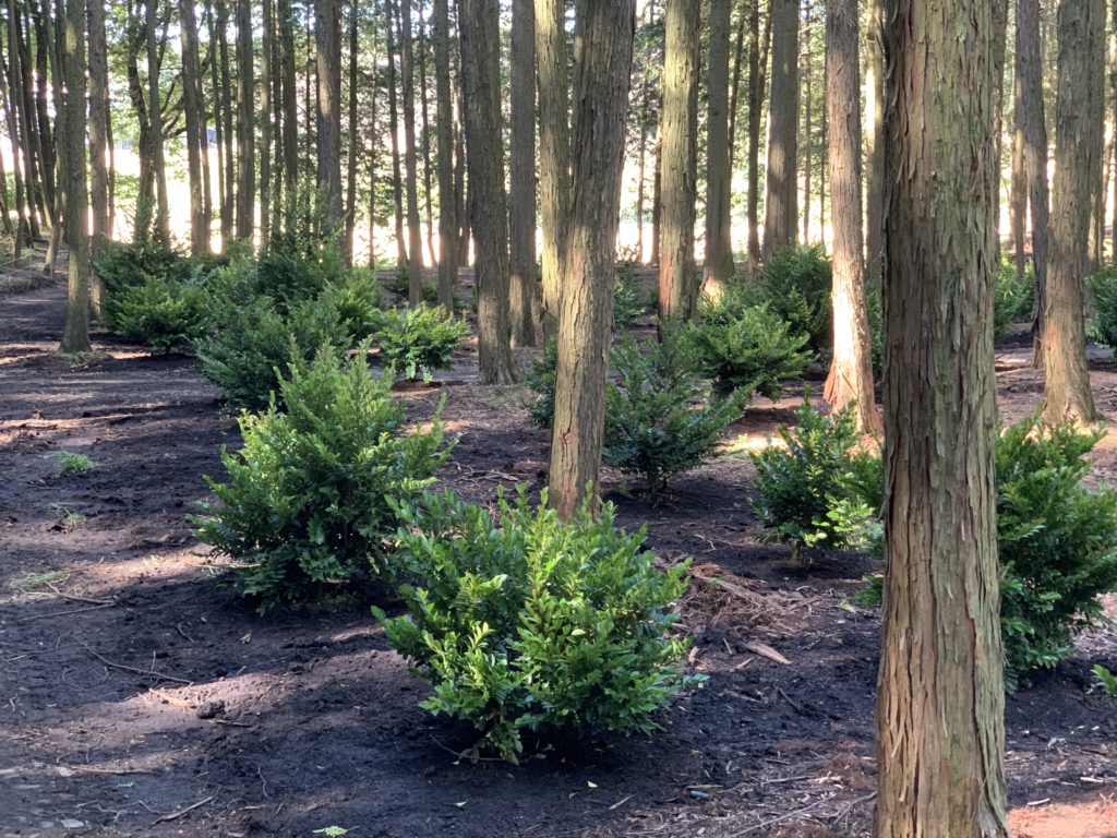 A2F85B51 4541 41E6 8599 4CCB56CCD3B0