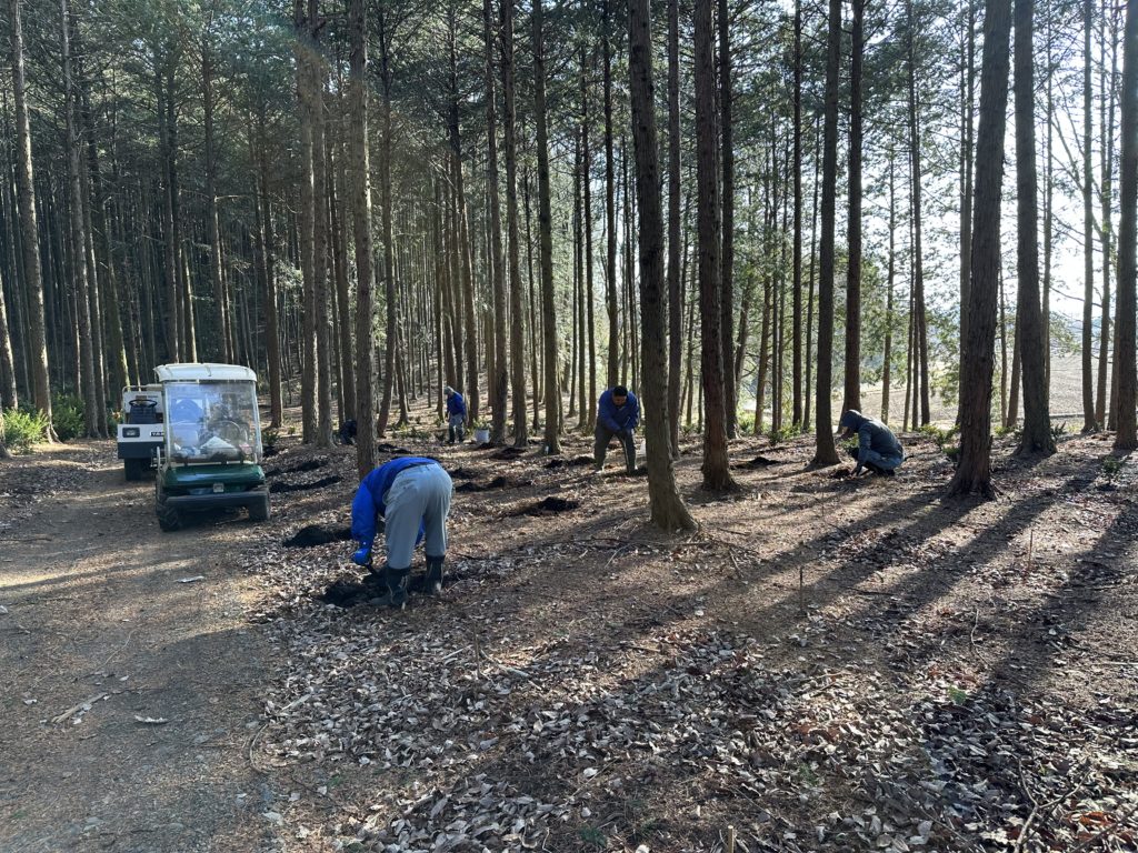 73914C18 22C0 4EF9 8006 45969230E040