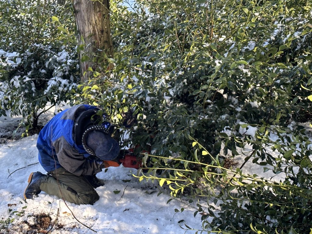 78F2AFFD 3A53 4A24 923A BFB5282AF742