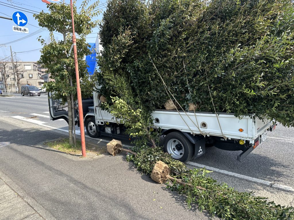 A198ECA4 29FB 4364 B746 5868279893AA