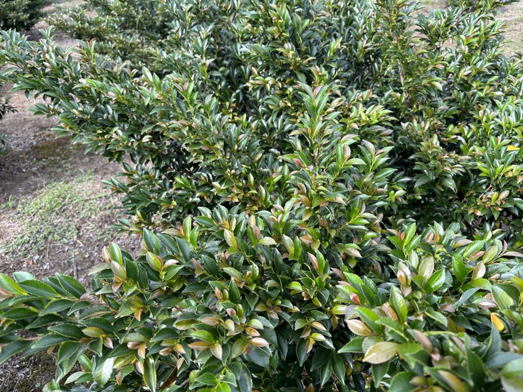 1948040A 5F2B 409B 9E9B 3EA8DC905AD4