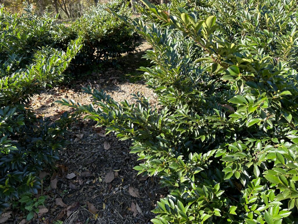 0492250C D3DE 407A 9E05 5069FF0470FC