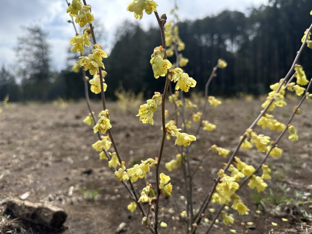 0FA39368 7561 46B4 9350 73B86BA2093D