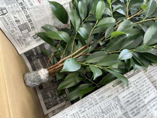 29A8F5D8 79B4 4285 AC48 7B6F38BD9B89 1024x768 1