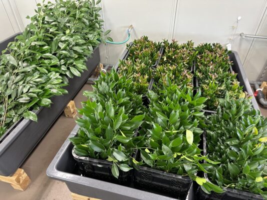 70075003 D415 4D62 A8A8 8A7140346FFA 1024x768 1