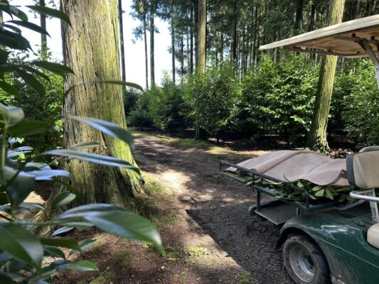 A8D6DA67 BF44 46FB BFE0 DA6E6A237EB5 1024x768 1