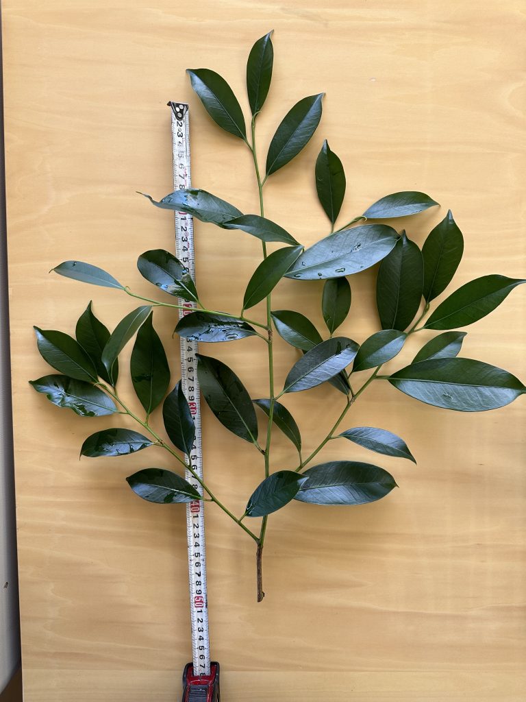 B8EC38D7 2556 4FF7 9C4B 879104EDE7FF