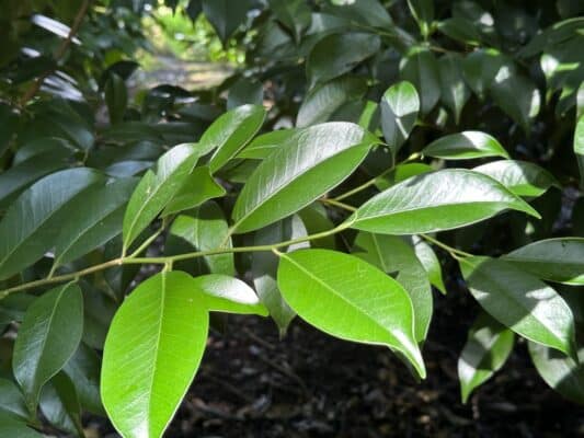 FB90F64A FAFD 46D0 A864 EC4F058BFC6C 1024x768 1