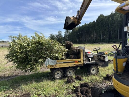 452D9124 D4DD 48F2 9F60 97CDF5256BA0