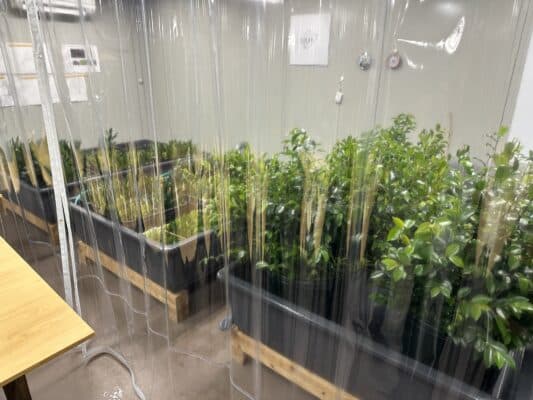 1E72A8A5 0048 4397 9FC1 563E385F3C78