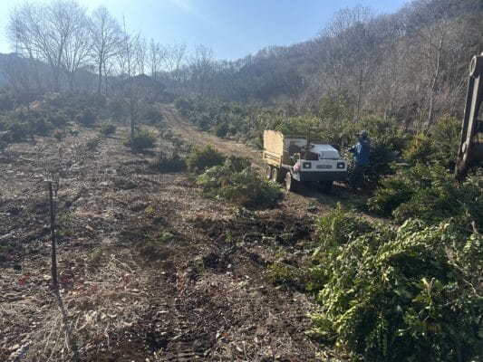 26F58B4E D34C 402F 9EDB CA63EFD3E068