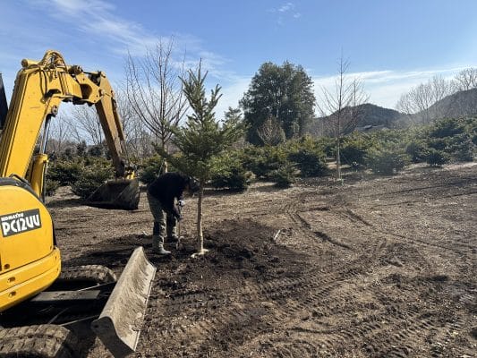 699C5183 9D9C 4337 A3E4 80BA1DF98CAA