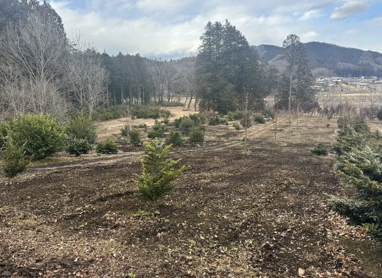 C730FE59 23C3 44CD 8A76 99693A38CA2F